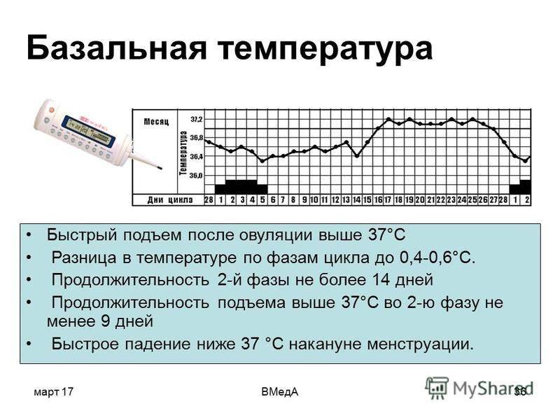 Базальная температура