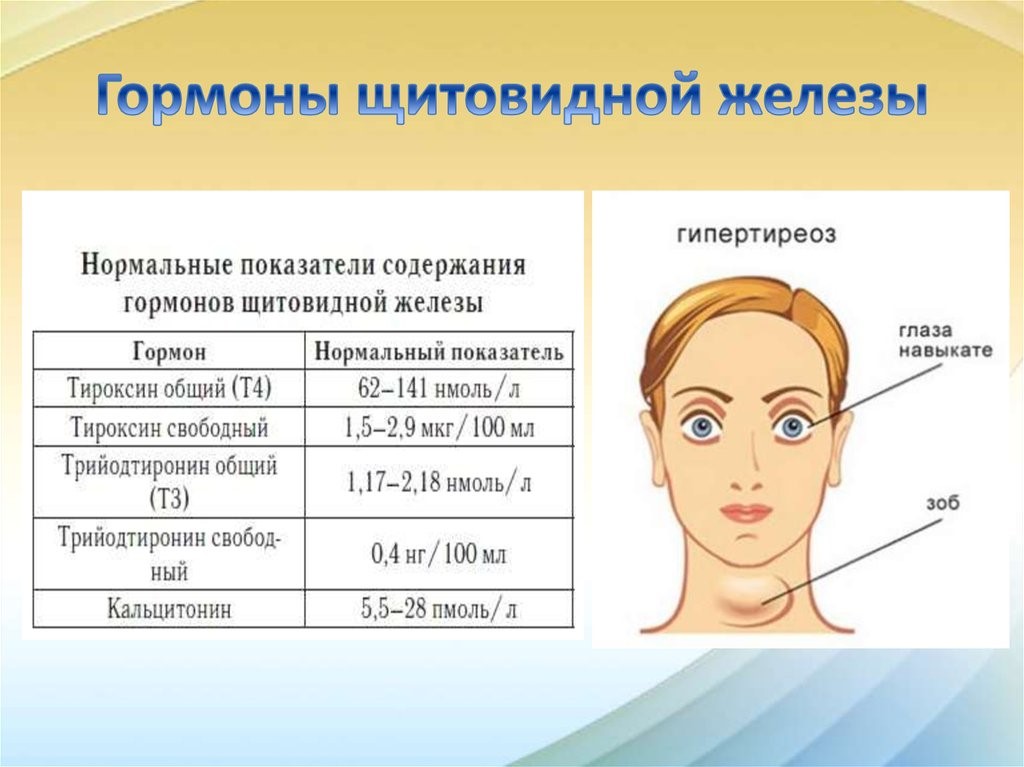 Результаты анализов гормонов щитовидной железы